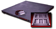 HE Floor Scale Hostile Environment