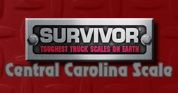 Survivor 